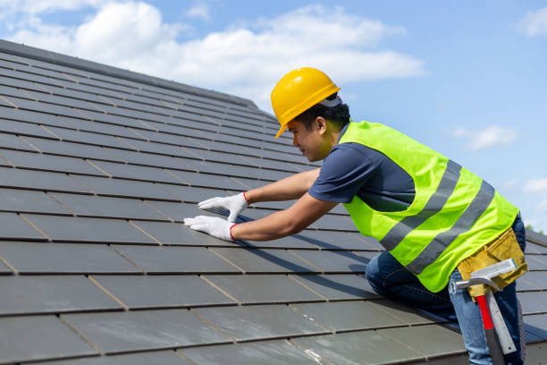 Best Roof Gutter Cleaning  in Pleak, TX